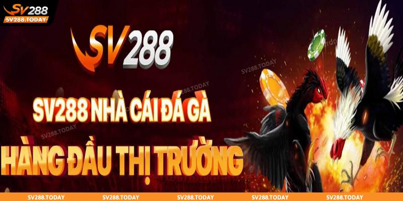 Quyền lợi và nghĩa vụ của đại lý SV288